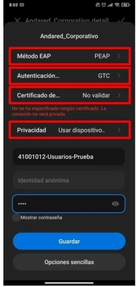 Ficha de la red con los cuatro campos señalados, más usuario y contraseña