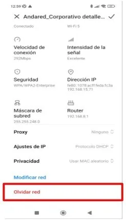 Detalles de la red con la opción Olvidar red señalada