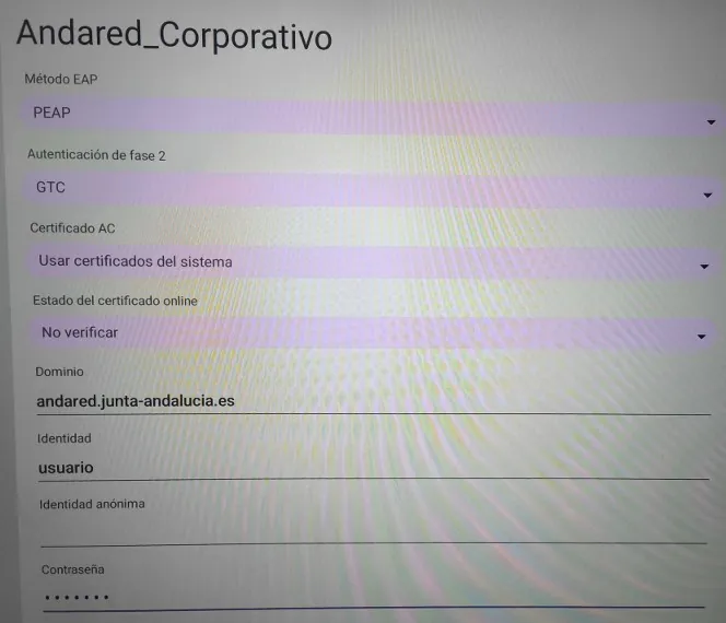 Ficha de red del panel Smart con los cinco campos rellenos