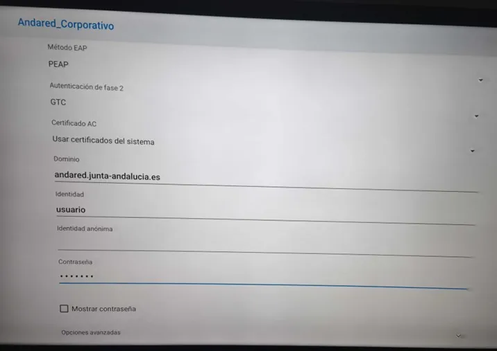 Ficha de red del panel Newline con los cuatro campos rellenos