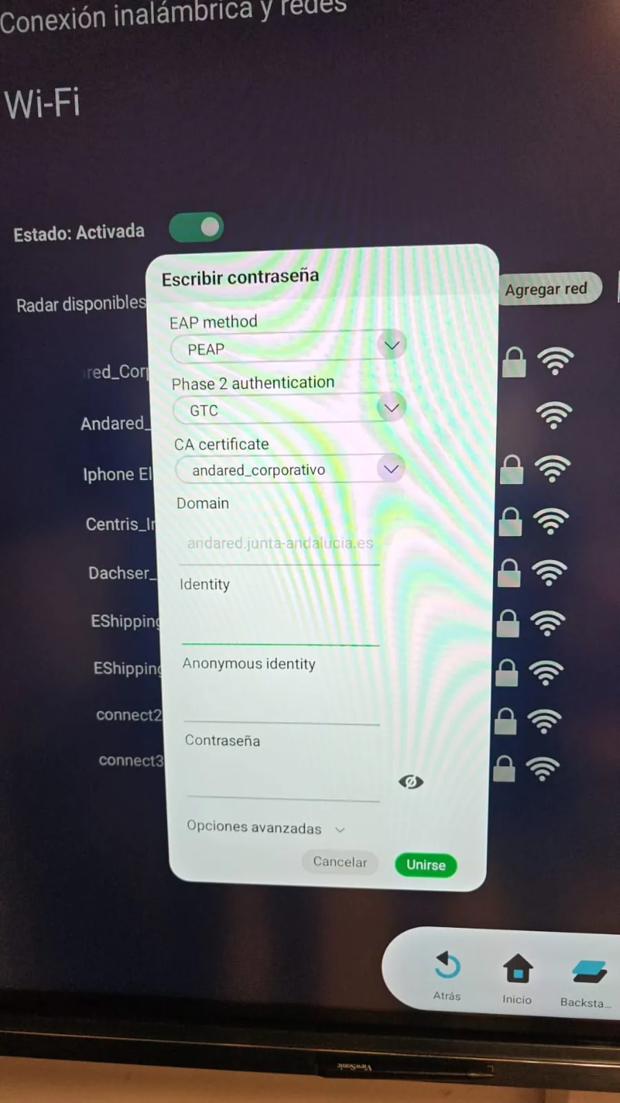 Ficha de red del panel ViewSonic con los cuatro campos rellenos